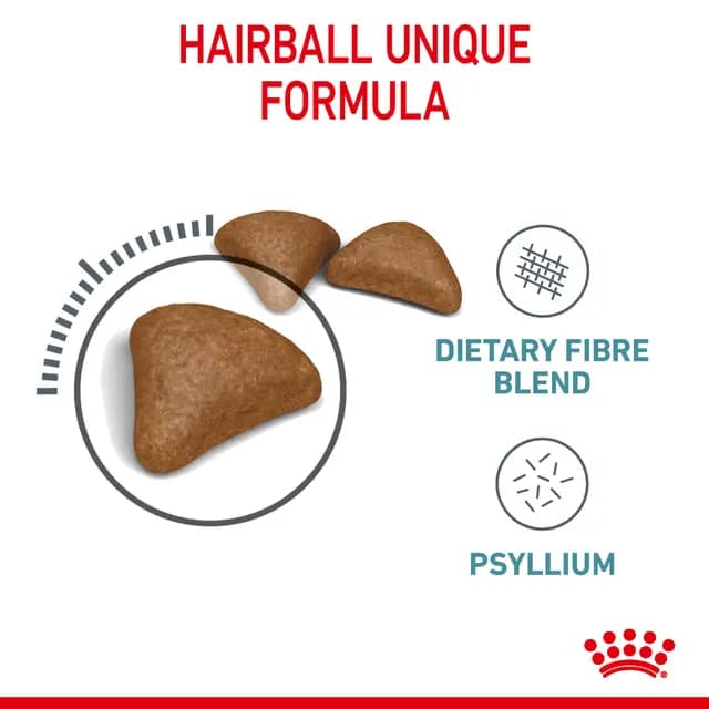 Royal Canin Hairball Care Adult Dry Cat Food view 3