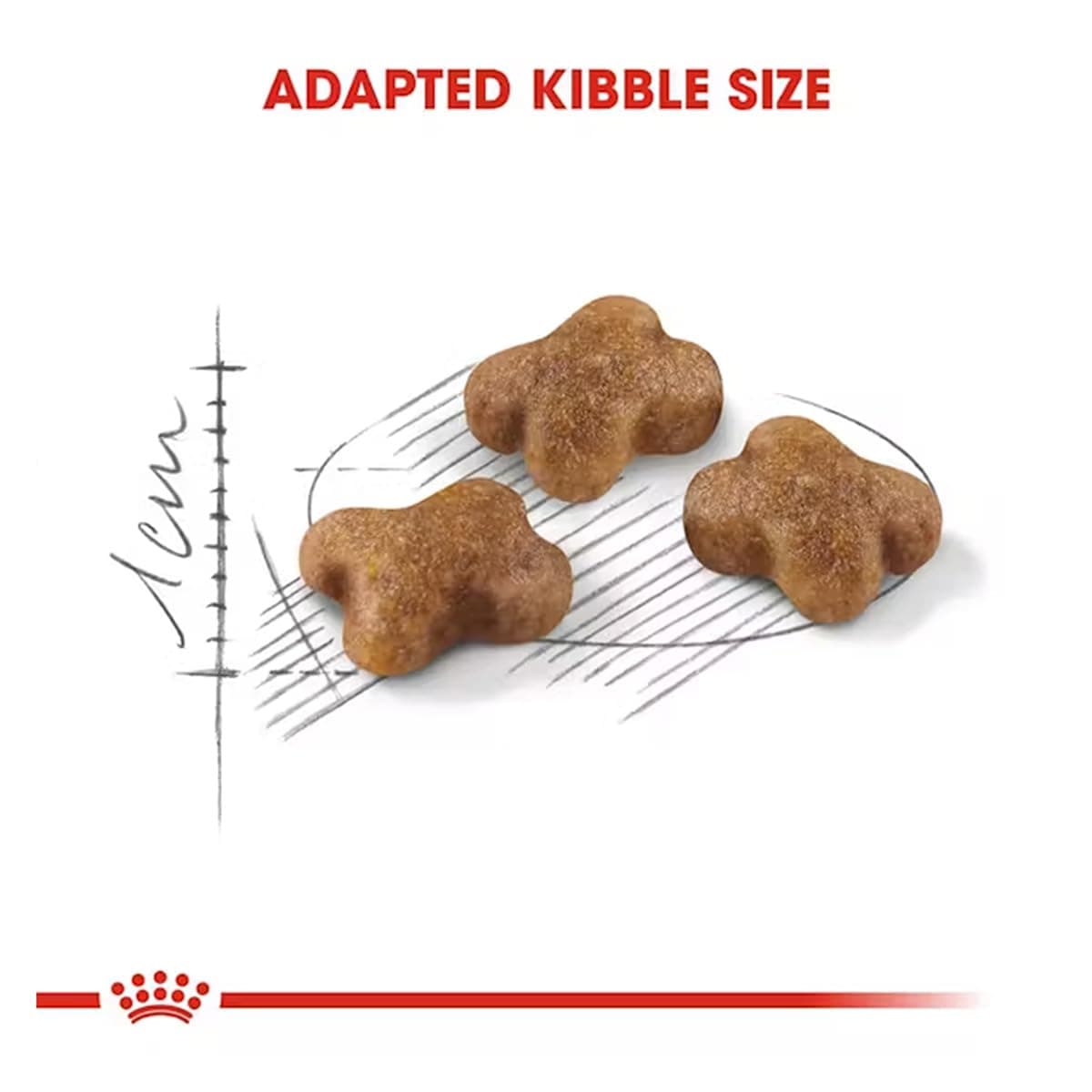 Royal Canin Kitten Dry Cat Food view 6