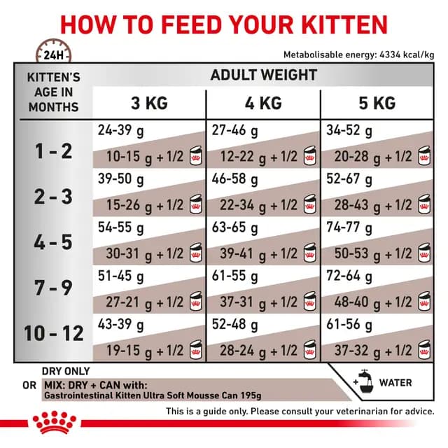 Royal Canin Gastrointestinal Kitten Veterinary Dry Cat Food view 3