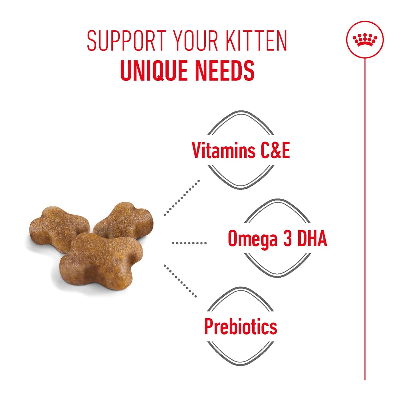 Royal Canin Kitten Dry Cat Food view 7