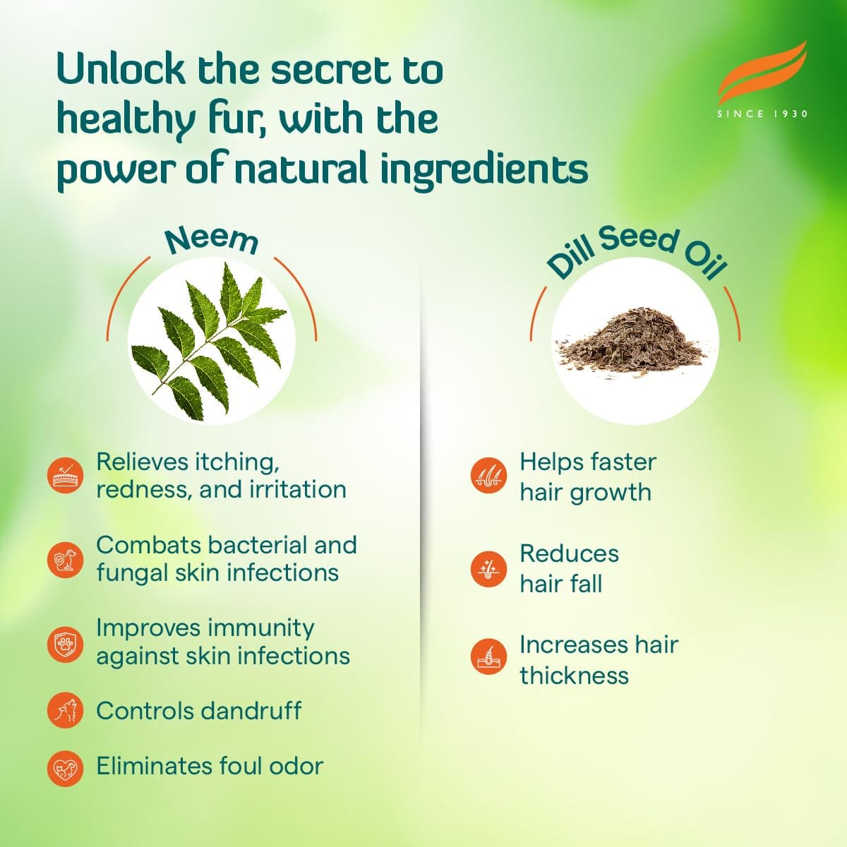 Himalaya Erina Coat Cleanser view 6