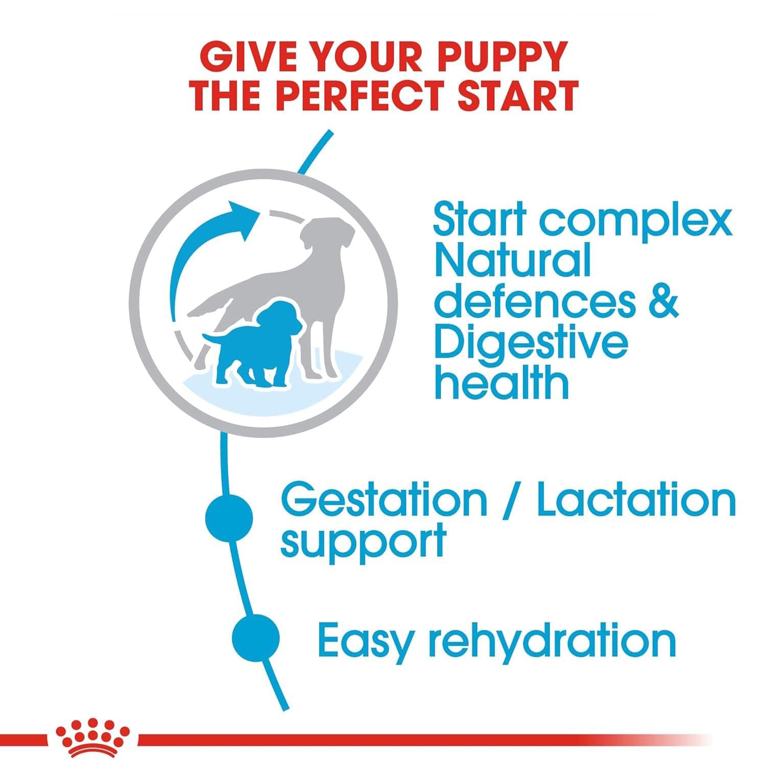 Royal Canin Medium Starter Mother & Babydog Dry Dog Food view 2