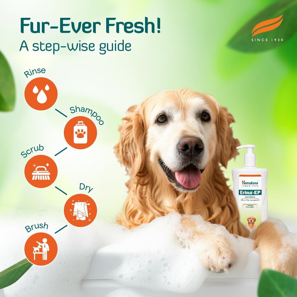 Himalaya Erina-EP Tick & Flea Management Pet Shampoo view 6
