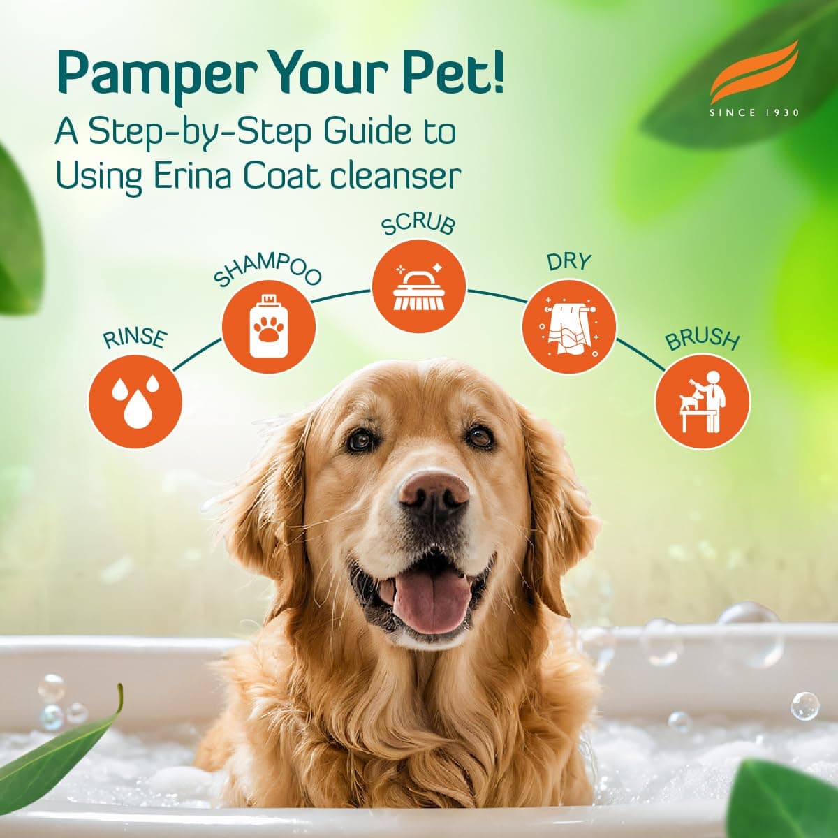 Himalaya Erina Coat Cleanser view 5