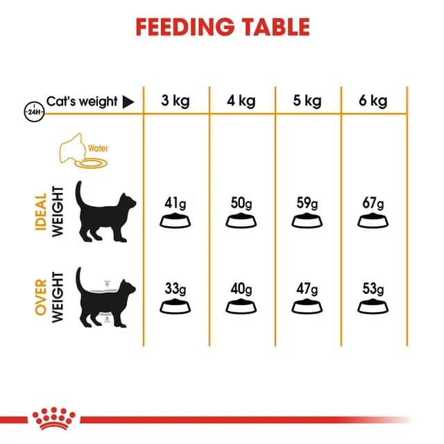Royal Canin Hair & Skin Care Adult Dry Cat Food view 2