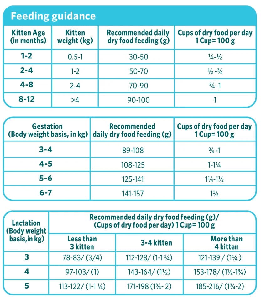 Himalaya Healthy Cat Food Kitten – Ocean Fish & Chicken view 3