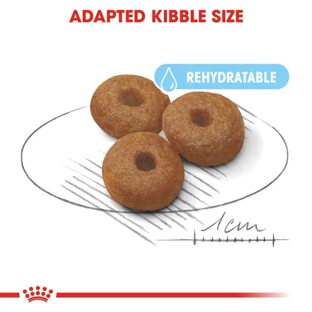 Royal Canin Maxi Starter Mother & Babydog Large Breed Dry Dog Food view 4