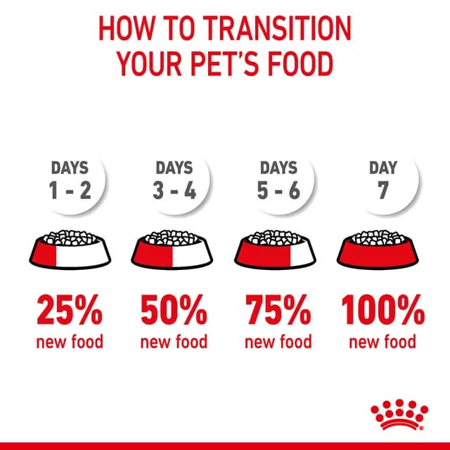 Royal Canin Hairball Care Adult Dry Cat Food view 7