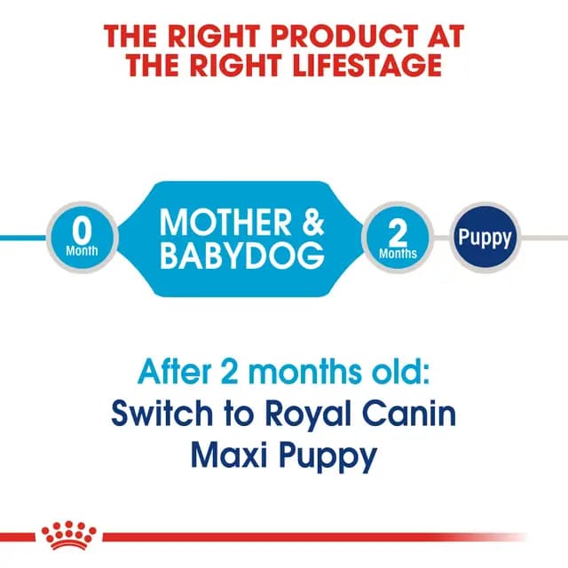 Royal Canin Maxi Starter Mother & Babydog Large Breed Dry Dog Food view 6