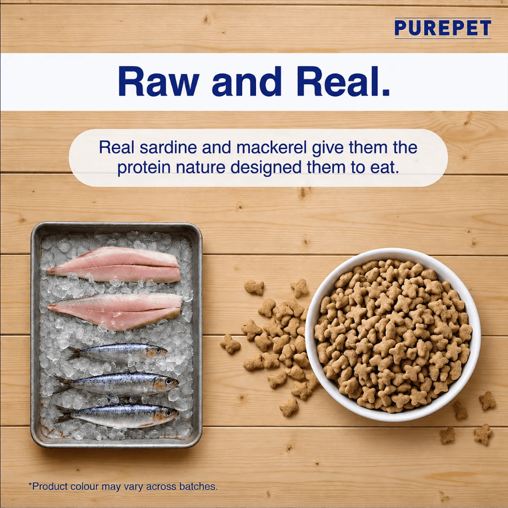 Purepet Ocean Fish Adult Dry Cat Food view 4