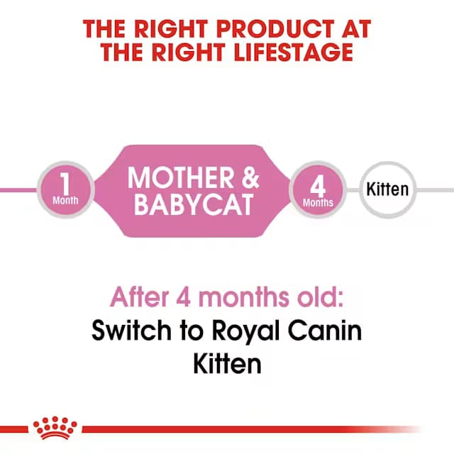 Royal Canin Mother & Babycat Dry Cat Food view 5
