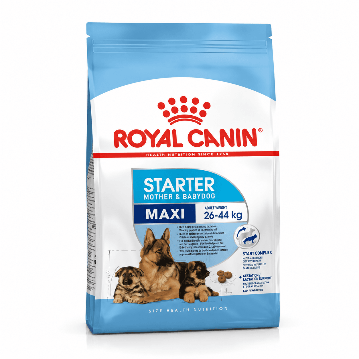 Royal Canin Maxi Starter Mother & Babydog Large Breed Dry Dog Food